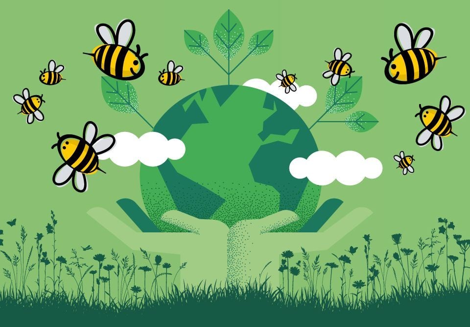 Wir pflanzen Bäume für den Klimaschutz.