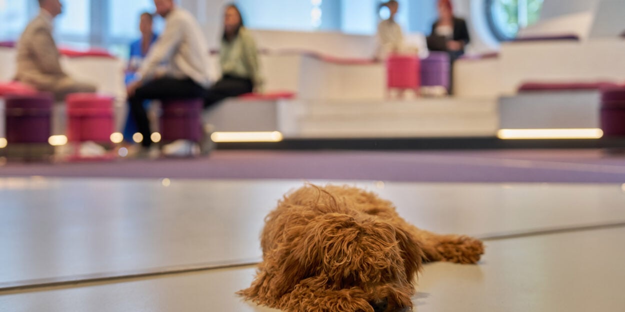 First Choice Business Center in München (Airport) (Büro mieten, Coworking Space buchen, Meetingräume & Virtual Office)